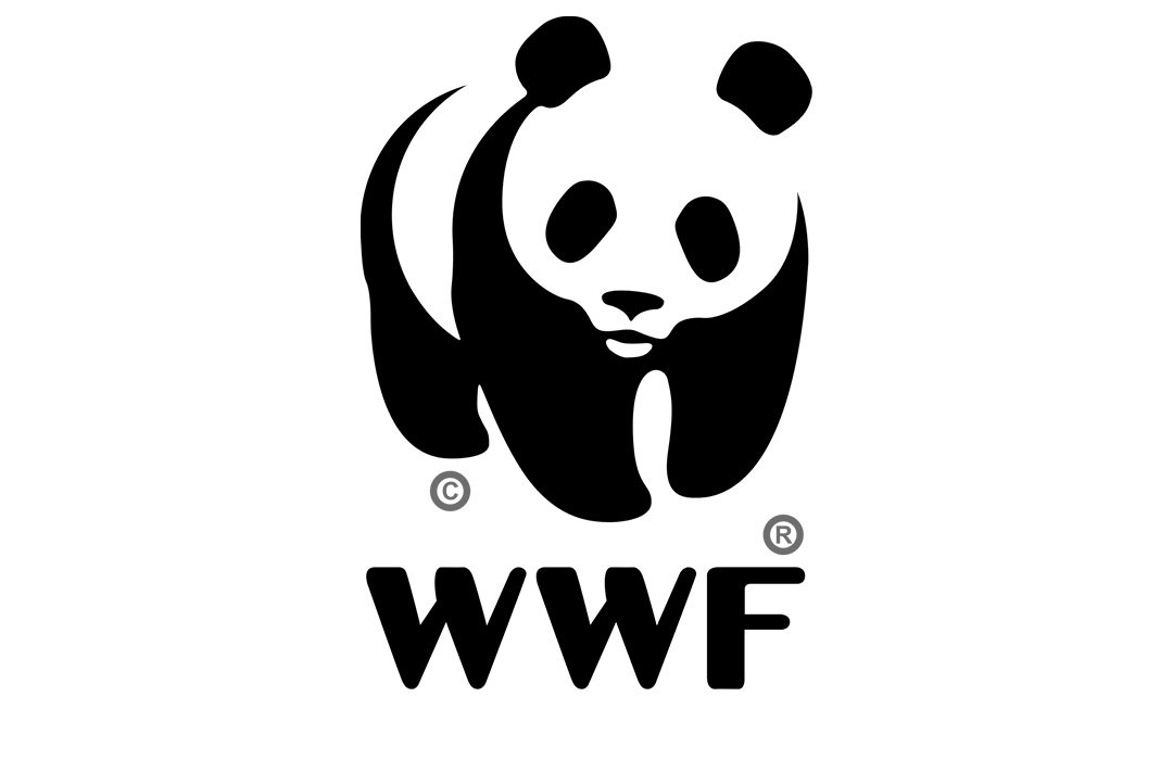 Easyrecyclage_WWF_Paprec